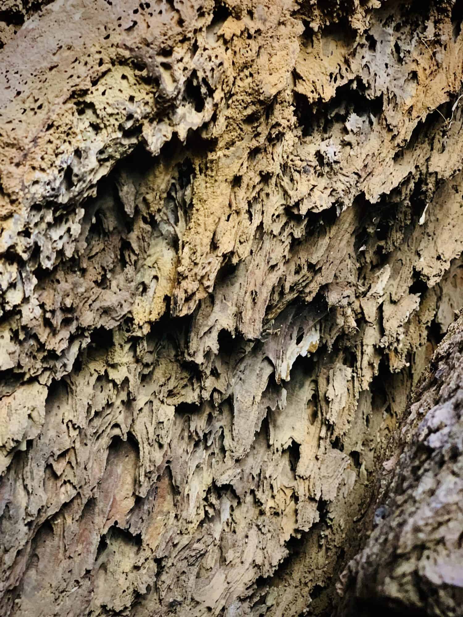Textures of Lava Rock, No. 2